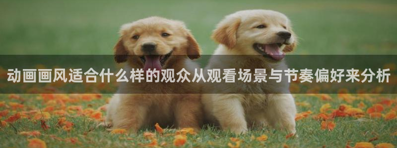 虫虫漫画大全高清版:动画画风适合什么样的观众从观看场景与节奏偏好来分析配图