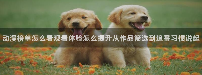 虫虫漫画热门榜：动漫榜单怎么看观看体验怎么提升从作品筛选到追番习惯说起配图