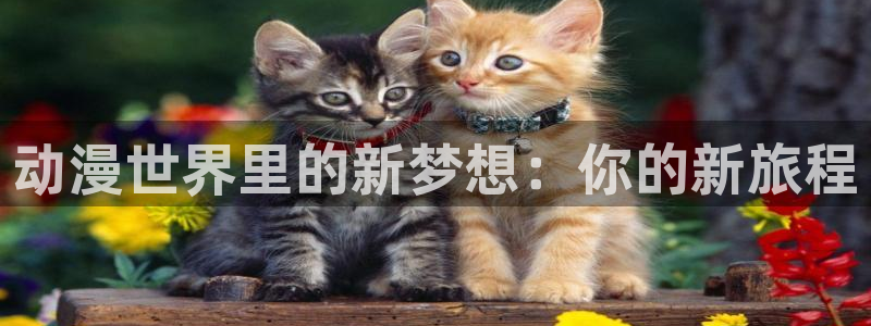 虫虫漫画高清版：动漫世界里的新梦想：你的新旅程配图