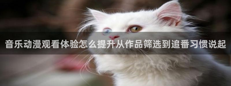 虫虫漫画精品推荐:音乐动漫观看体验怎么提升从作品筛选到追番习惯说起配图
