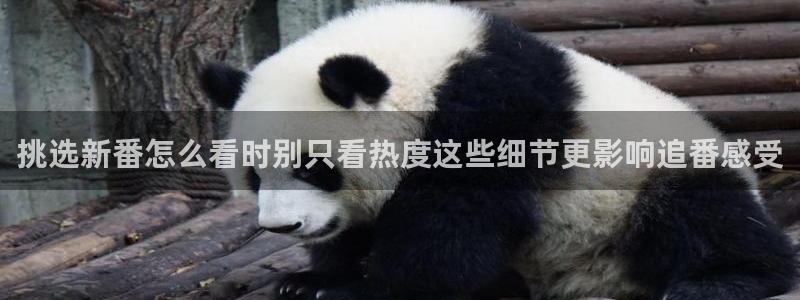 虫虫漫画热门作品推荐:挑选新番怎么看时别只看热度这些细节更影响追番感受配图
