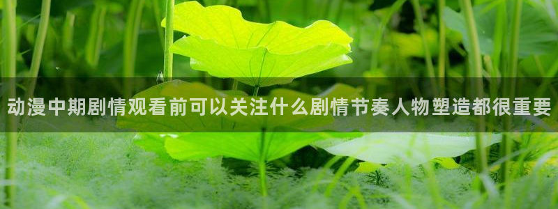虫虫漫画在线看:动漫中期剧情观看前可以关注什么剧情节奏人物塑造都很重要配图
