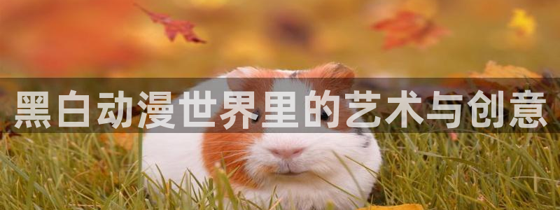 虫虫漫画目录大全:黑白动漫世界里的艺术与创意配图